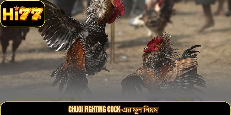 Chuoi Fighting Cock-এর মূল নিয়ম