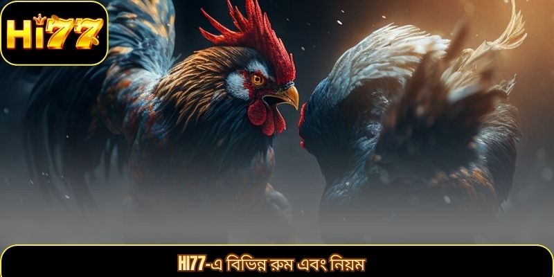 Hi77-এ বিভিন্ন রুম এবং নিয়ম