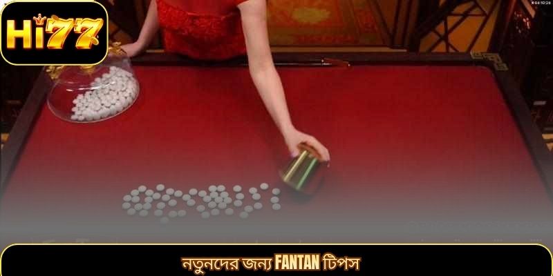 নতুনদের জন্য Fantan টিপস