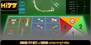 Fantan কী? HI77-এ Fantan খেলার সম্পূর্ণ গাইড