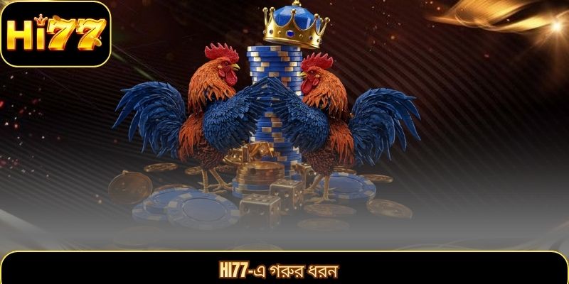 HI77-এ গরুর ধরন