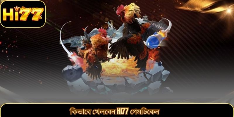 কিভাবে খেলবেন HI77 গেমচিকেন