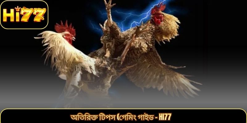 অতিরিক্ত টিপস (গেমিং গাইড – Hi77