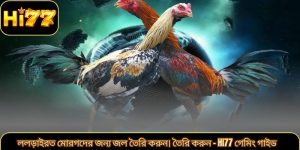 ললড়াইরত মোরগদের জন্য জল তৈরি করুন। তৈরি করুন – Hi77 গেমিং গাইড