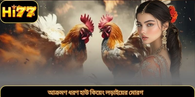 আক্রমণ ধরণ হাউ কিয়েং লড়াইয়ের মোরগ